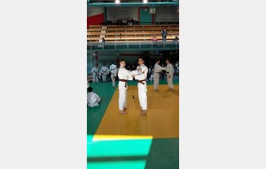 Tournoi de France Kata