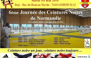 6ème journée des ceintures noires